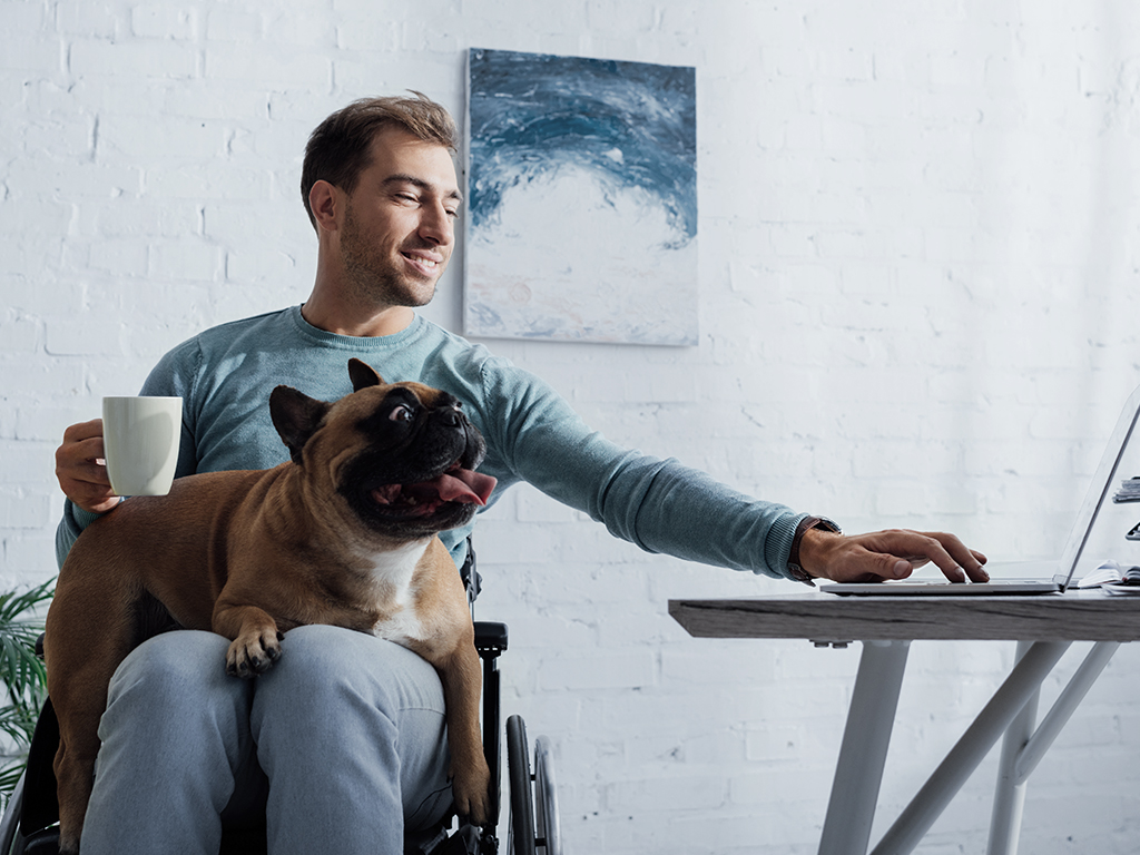 Junger Mann im Rollstuhl mit Bulldogge auf dem Schoß versucht mit einer Hand am Laptop zu arbeiten